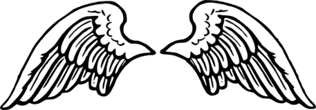 wings