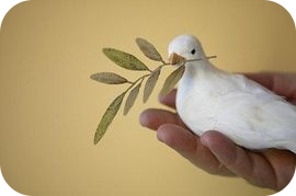 PeaceDove