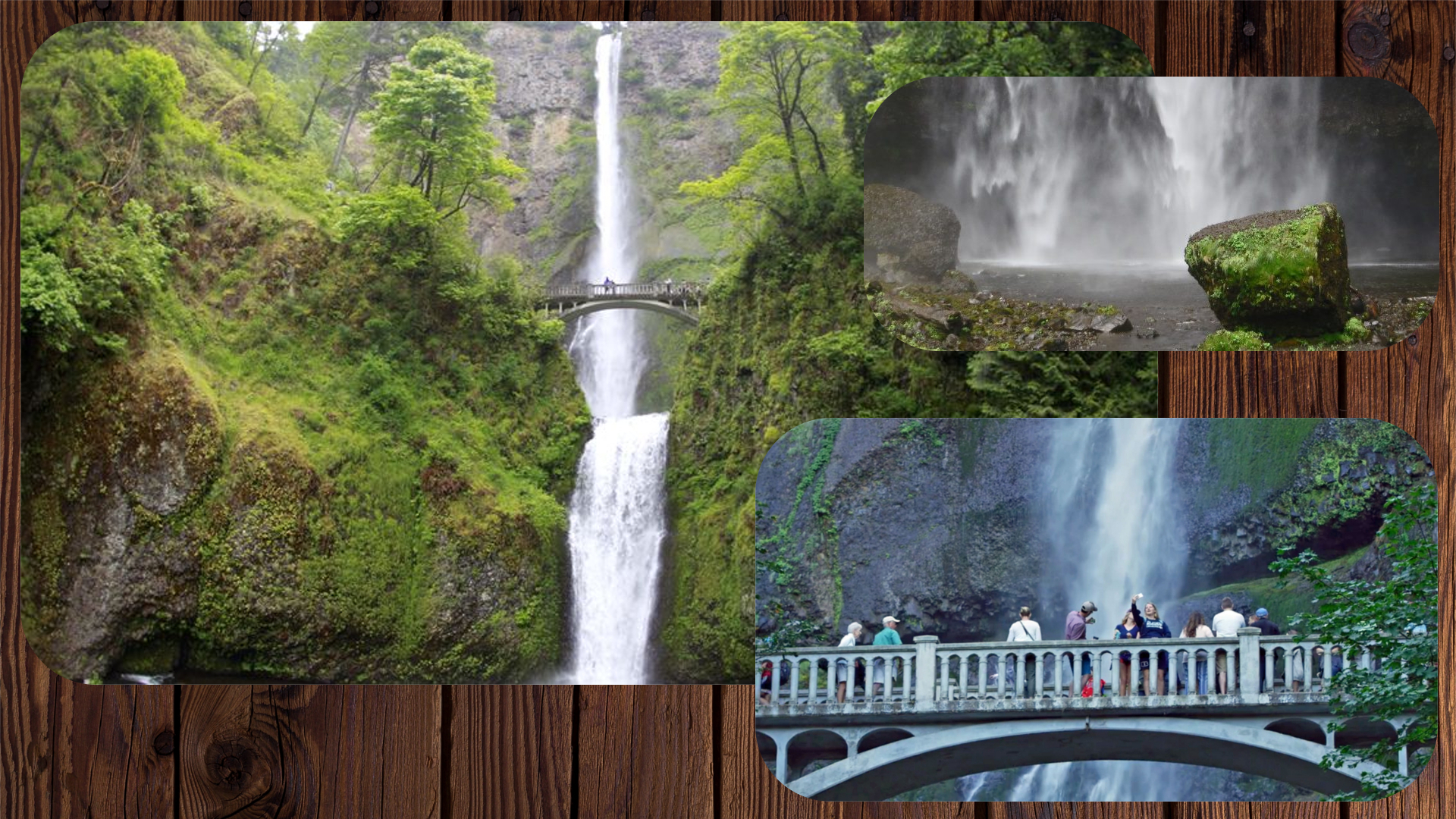 LeadershipSolarEnergy02