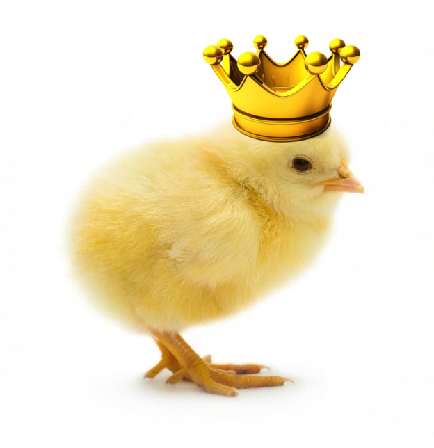 chickCoronation