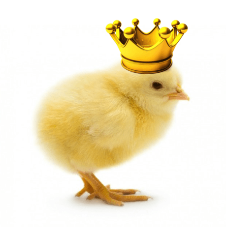 chickCoronation